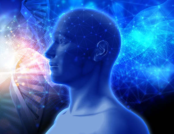 salamneuroclinic nerves